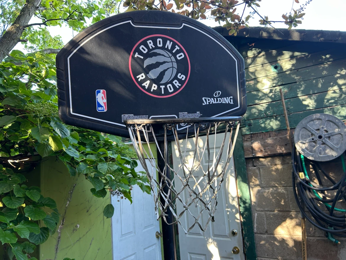 Spalding Toronto Raptors Basketball System - photo 2