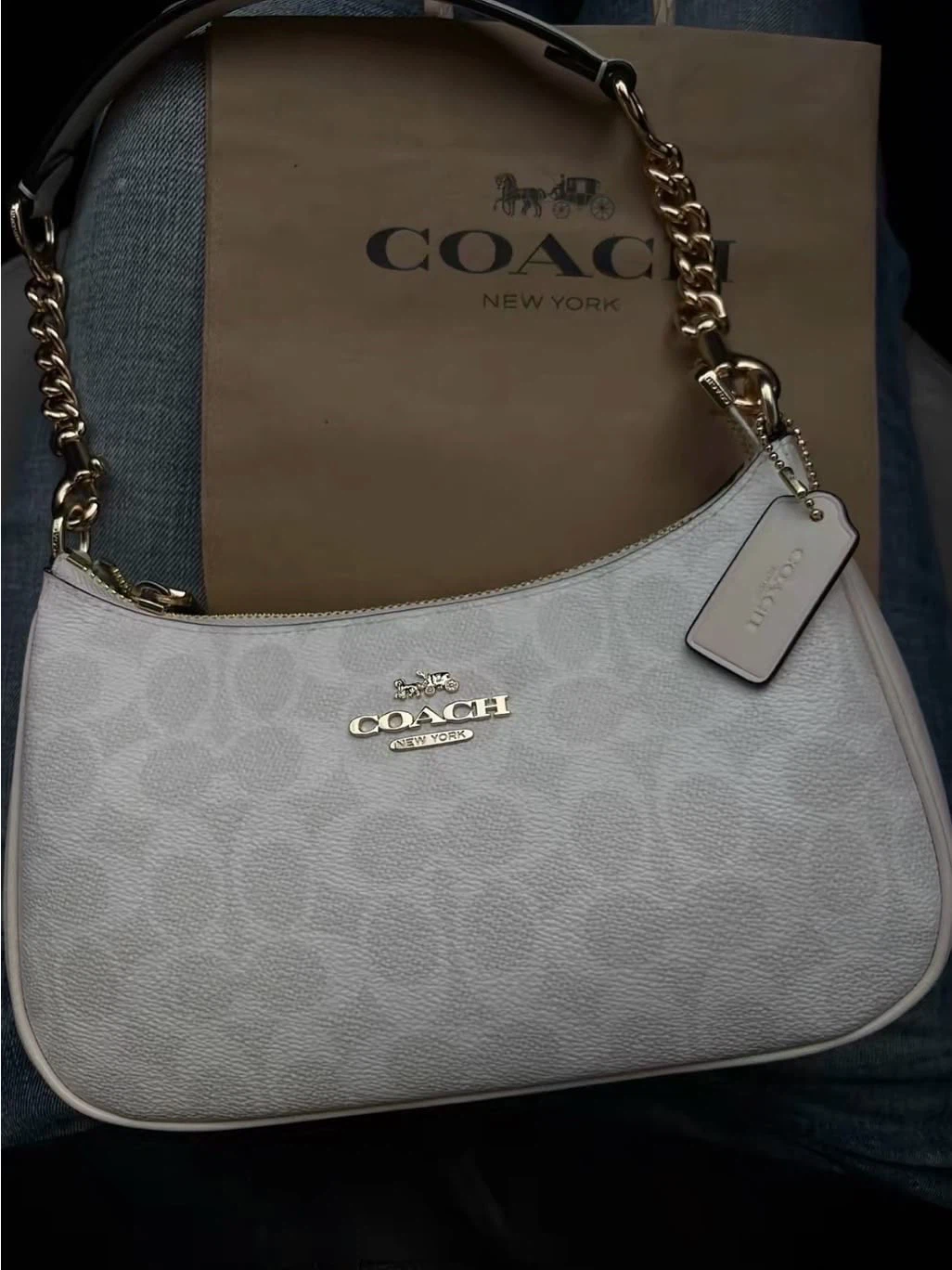 Coach Signature Canvas Shoulder Bag