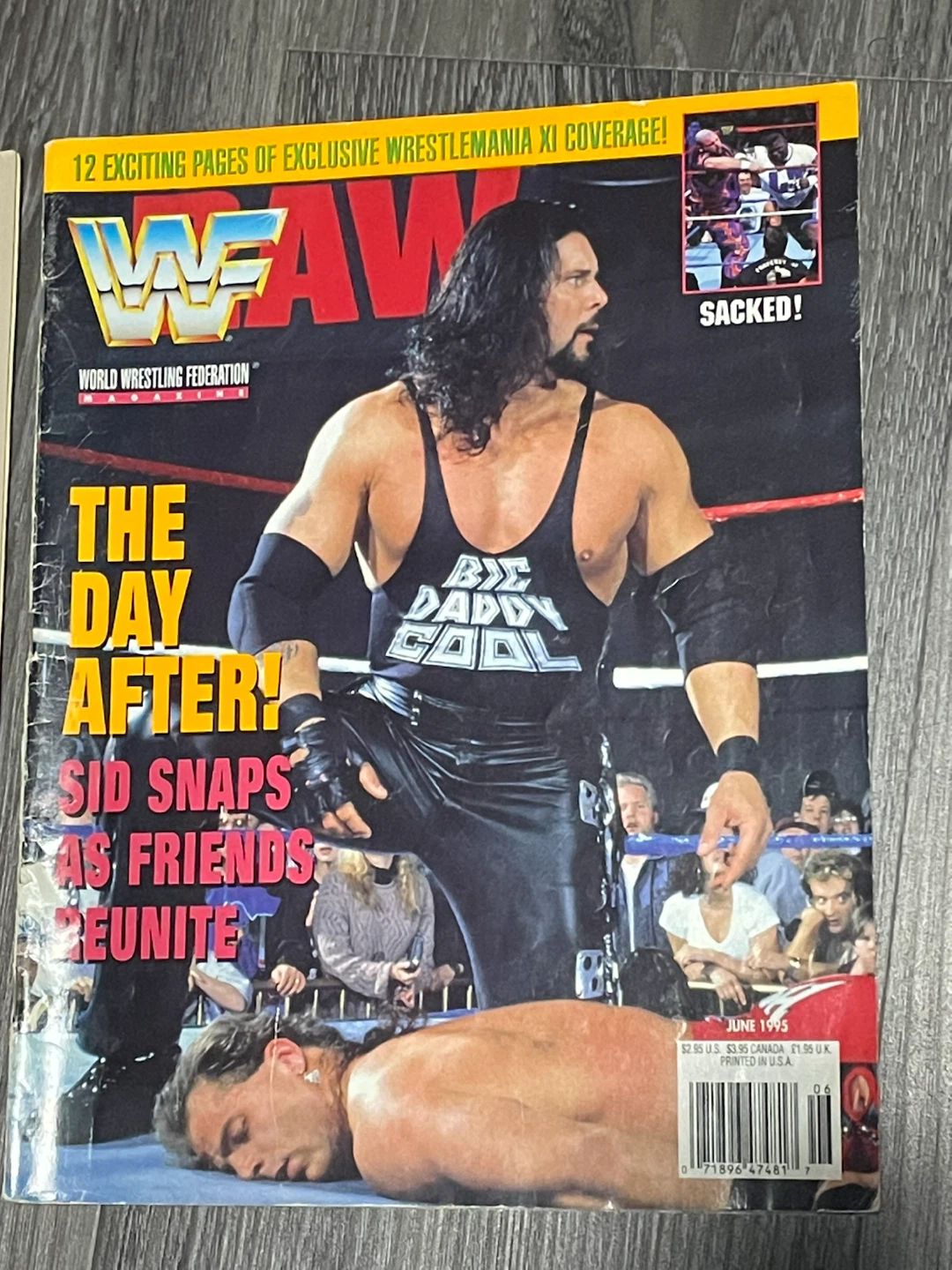 WWF Wrestling Magazine Lot - photo 4