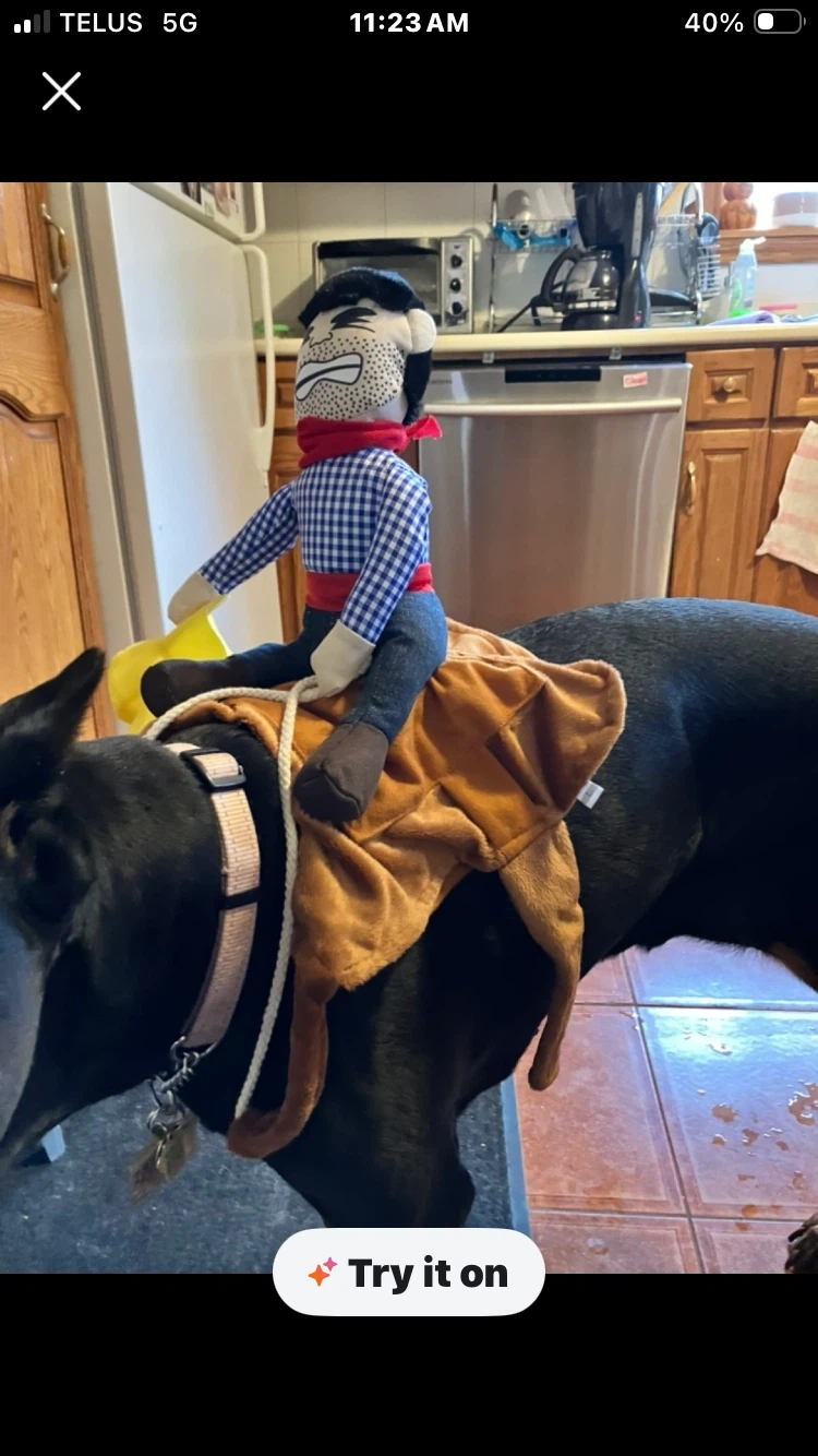 Dog costume Cowboy with Horse - photo 2