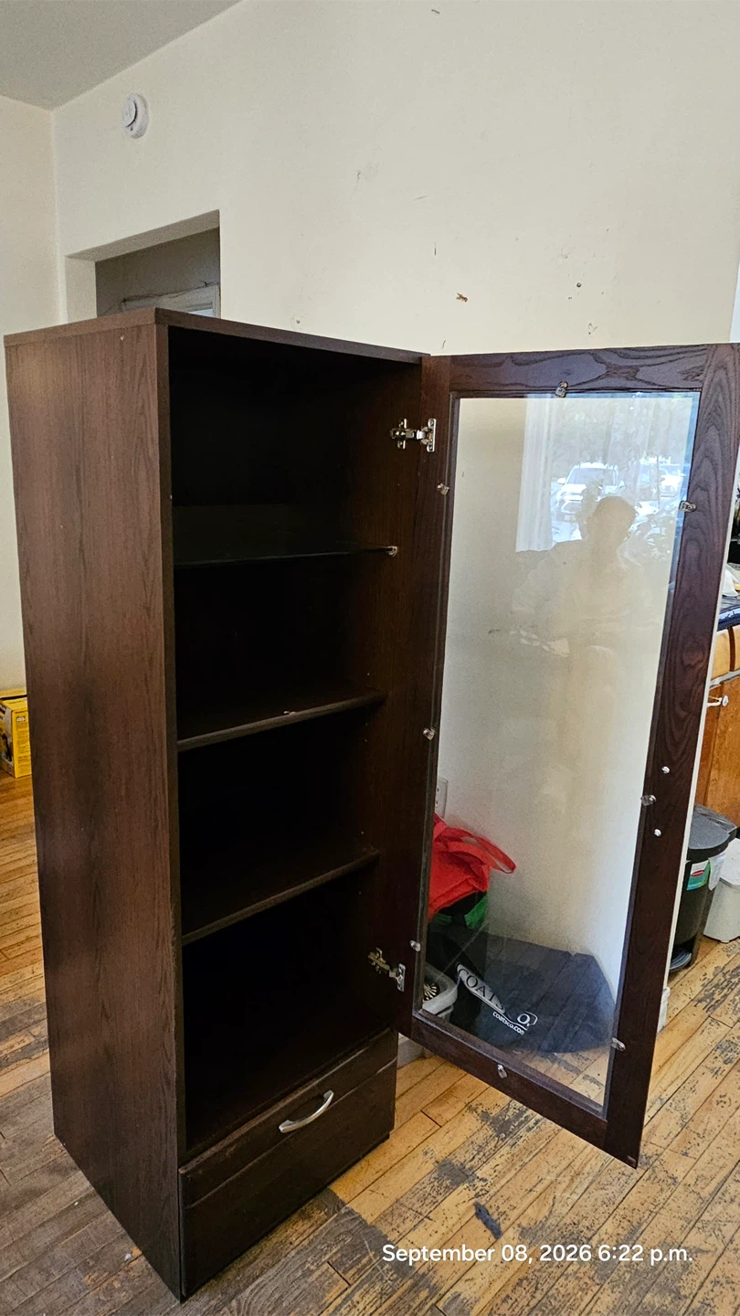Dark Cabinet with Glass Doors - photo 4