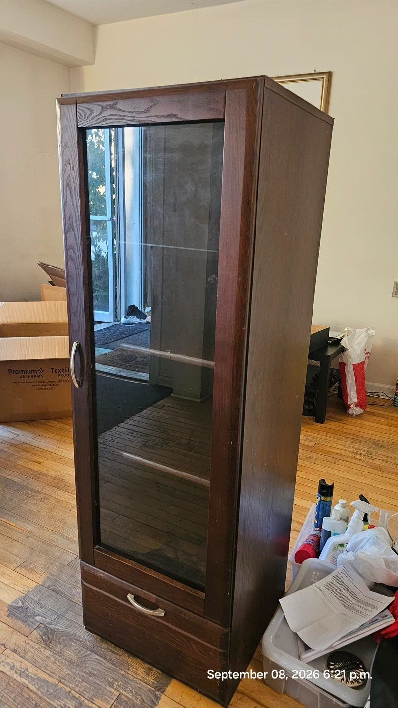 Dark Cabinet with Glass Doors - photo 5