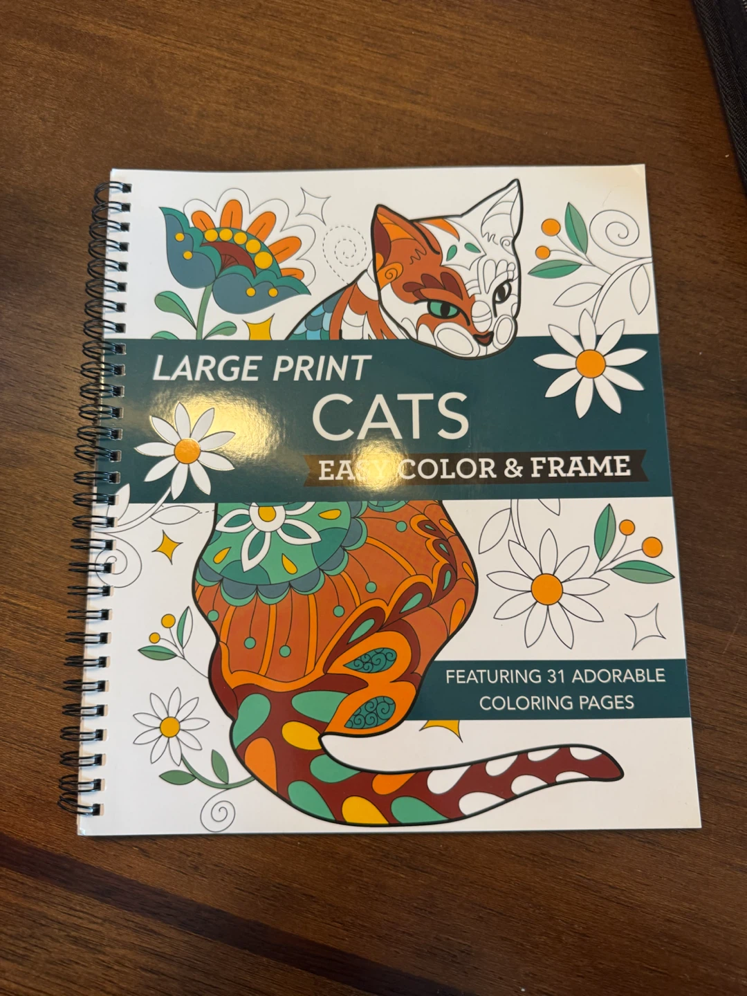 Large Print Cats Easy Color & Frame Coloring Book