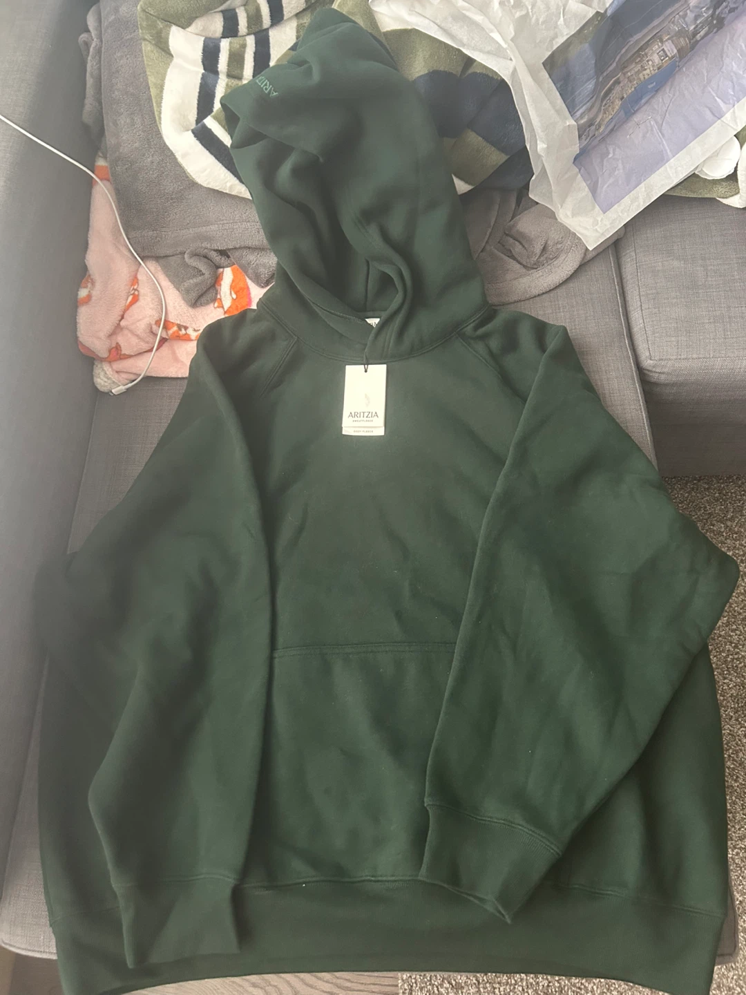 Aritzia Cozy Fleece Hoodie - Green