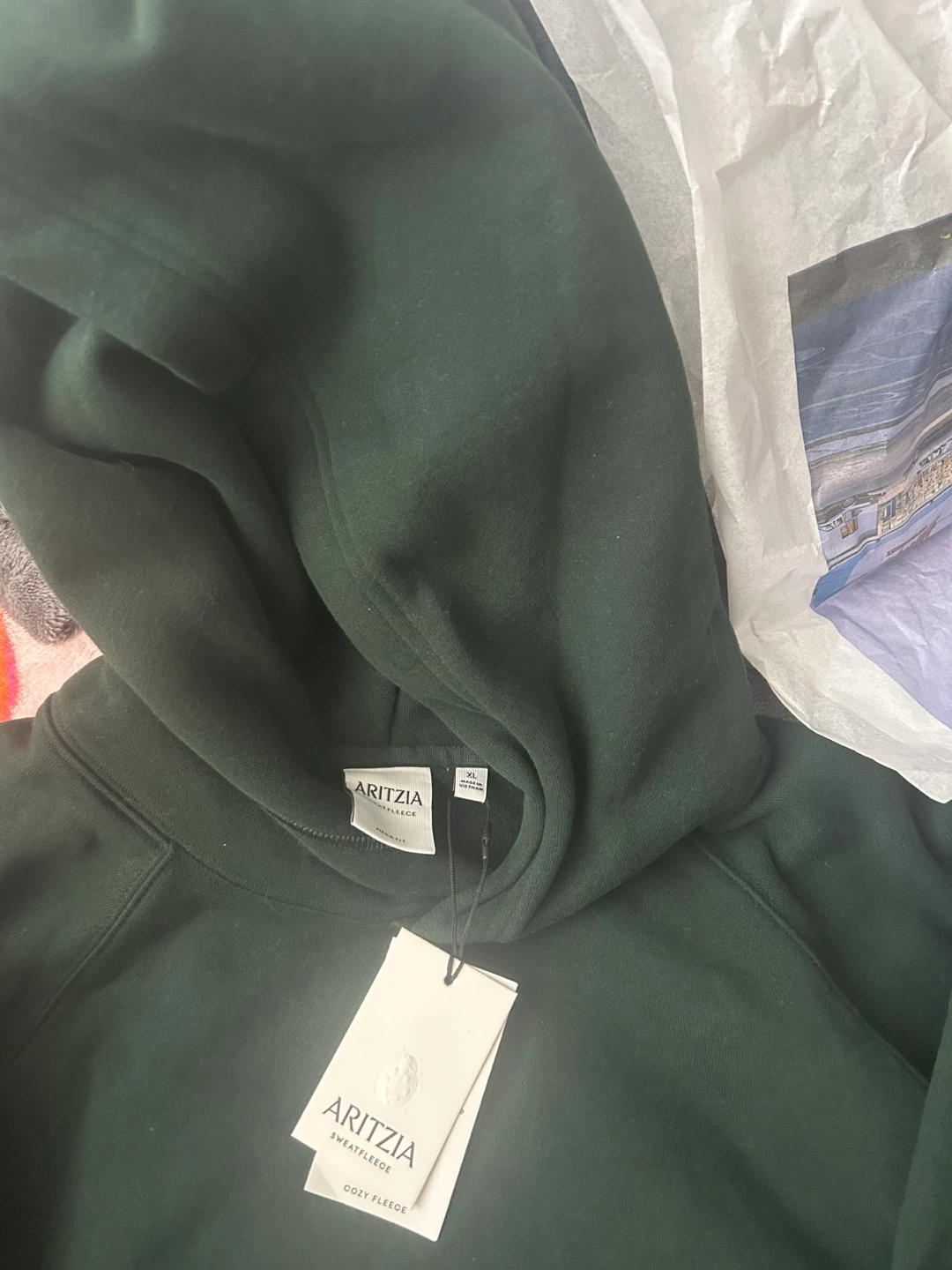 Aritzia Cozy Fleece Hoodie - Green - photo 2