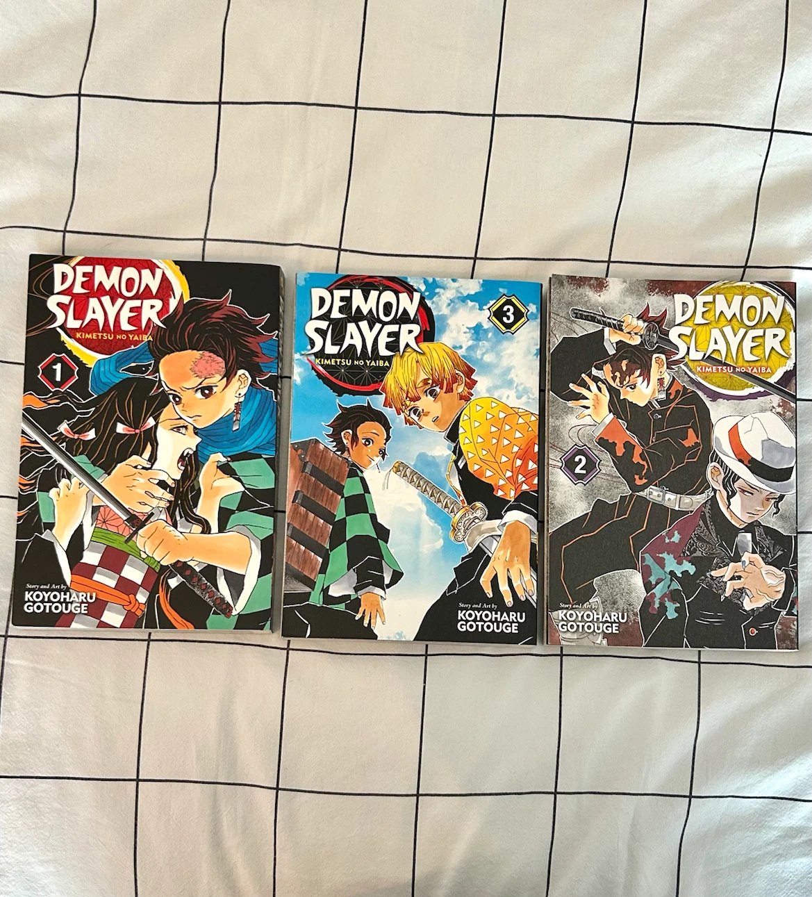 Demon Slayer Manga Volumes 1-3