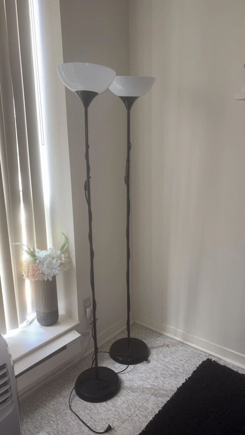 Two Black Floor Lamps
