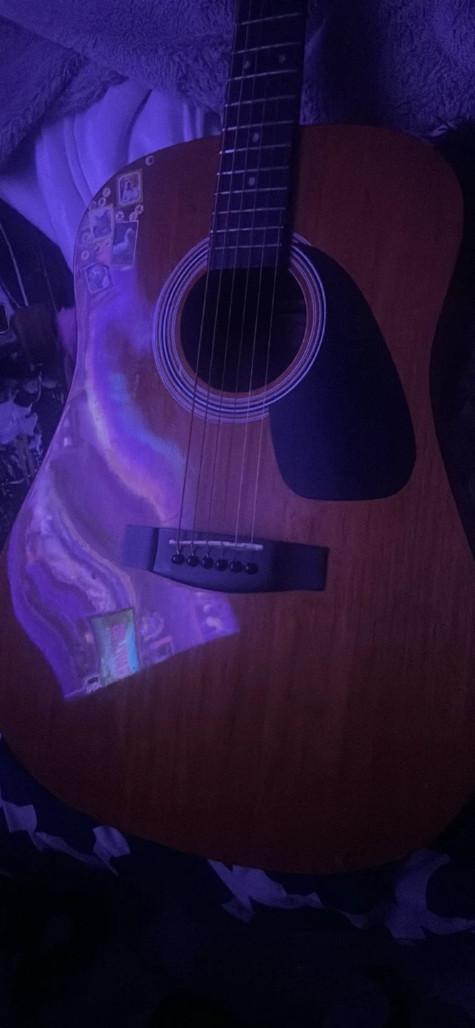 Samick Acoustic and CB Sky Electric Guitars - photo 3
