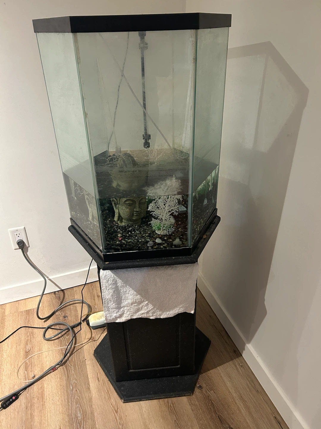MOVING SALE! 60g Column Aquarium