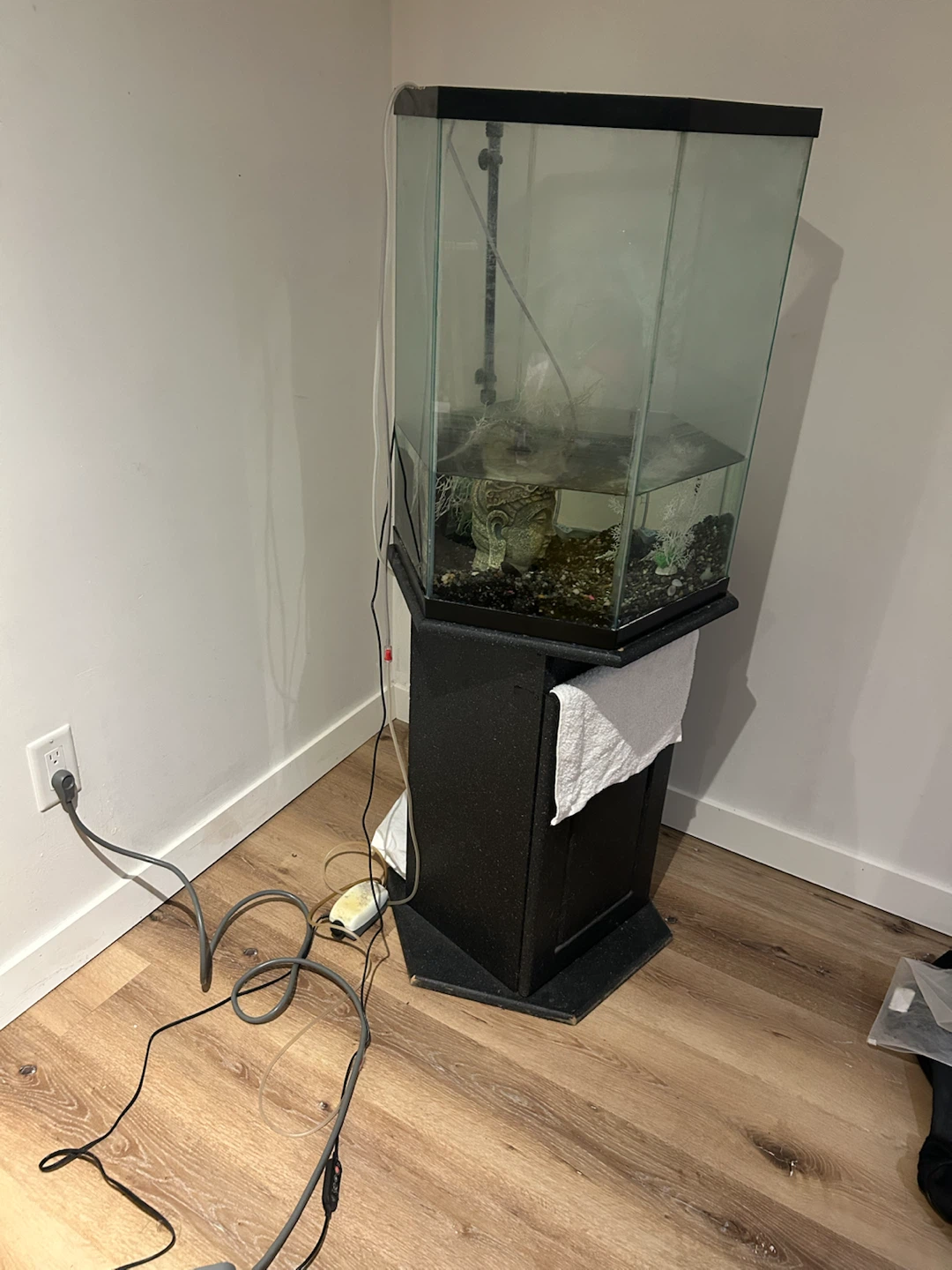 MOVING SALE! 60g Column Aquarium - photo 2