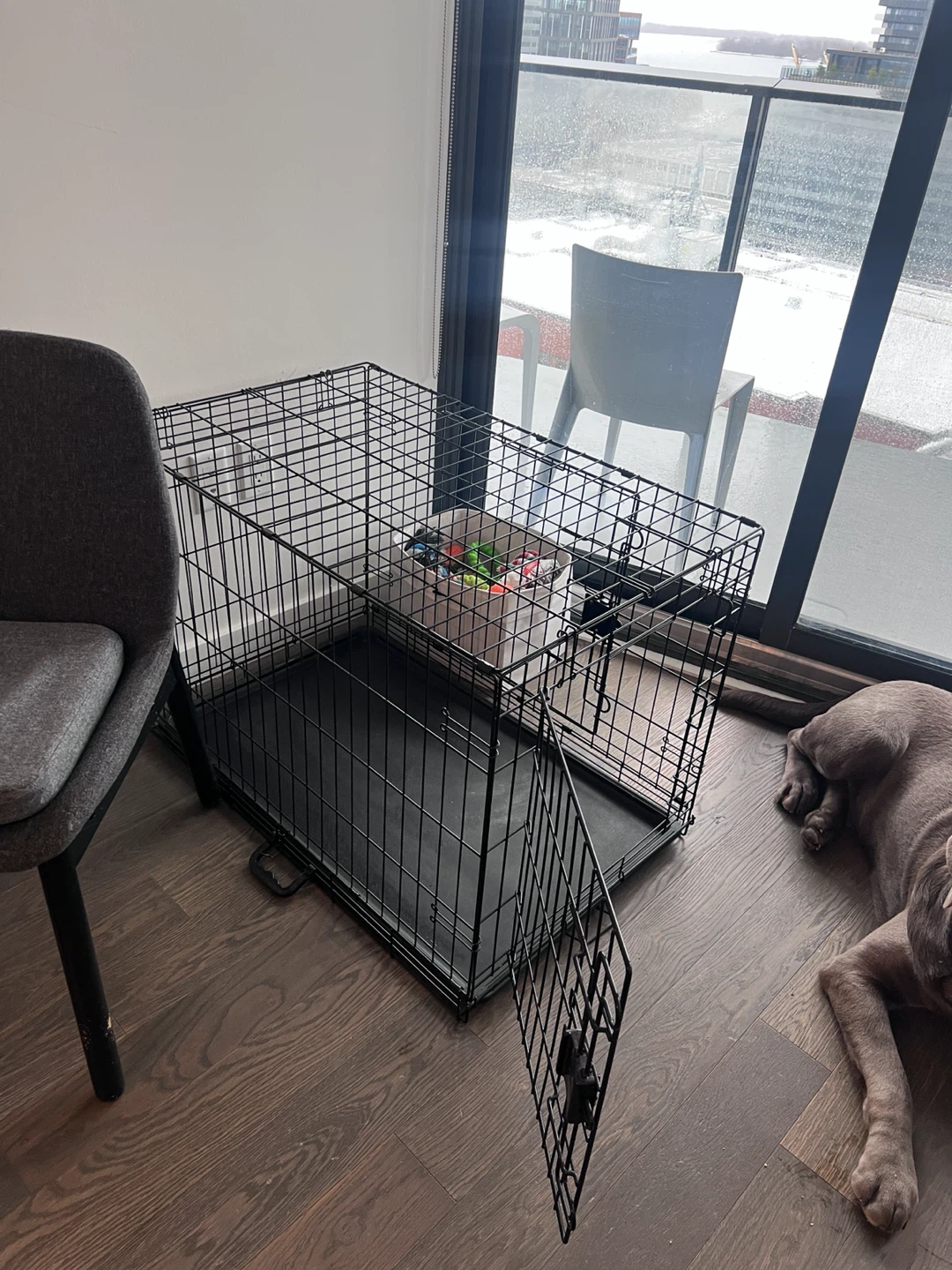 Collapsible Metal Dog Crate