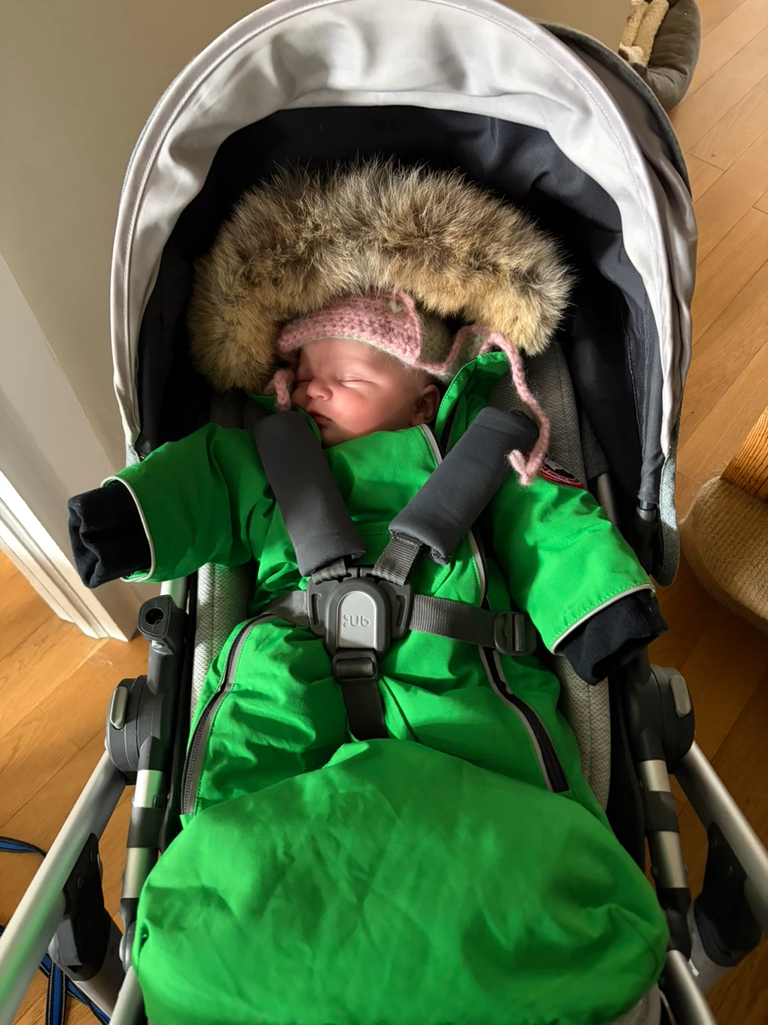 Canada Goose Baby Snowsuit 0-3 Months - photo 4