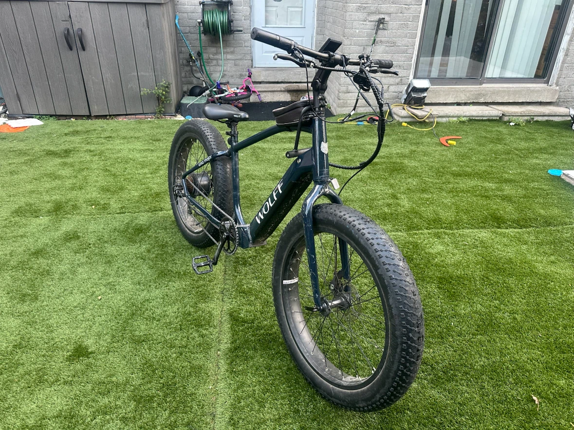 E bike
