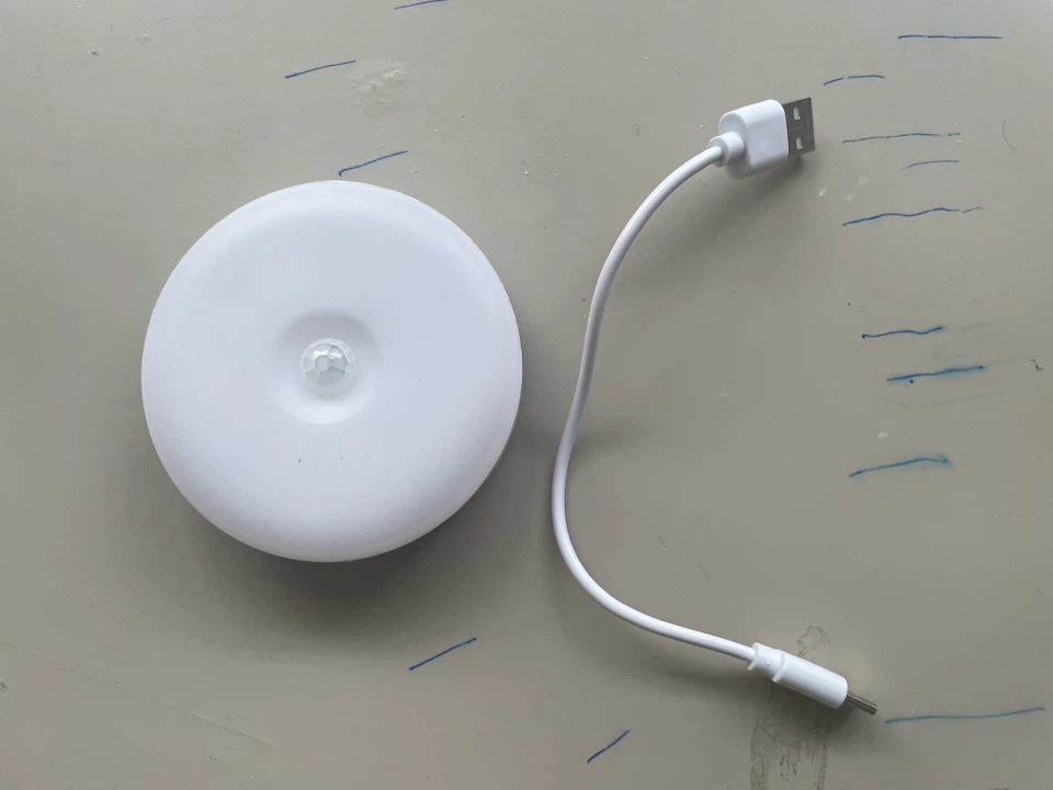 White Motion Induction Lamp