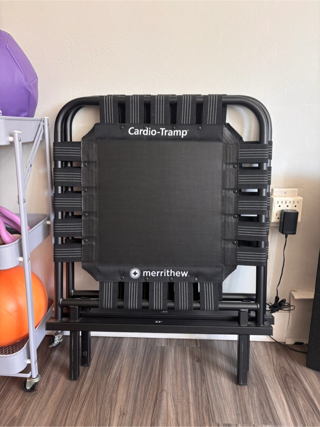 Merrithew Cardio-Tramp for SPX Max 22”