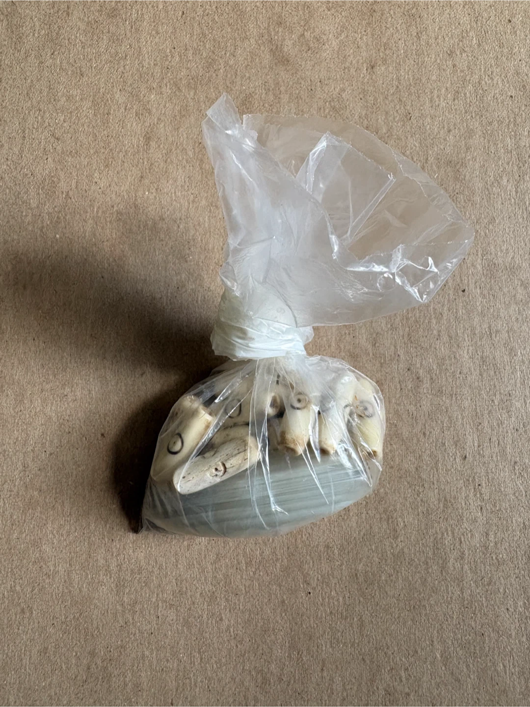 Bone Beads Lot
