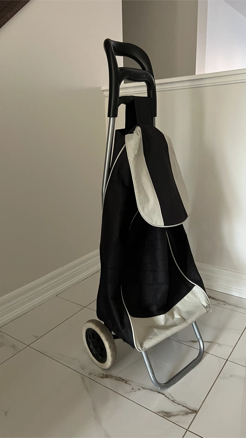 Two-wheel shopping trolley