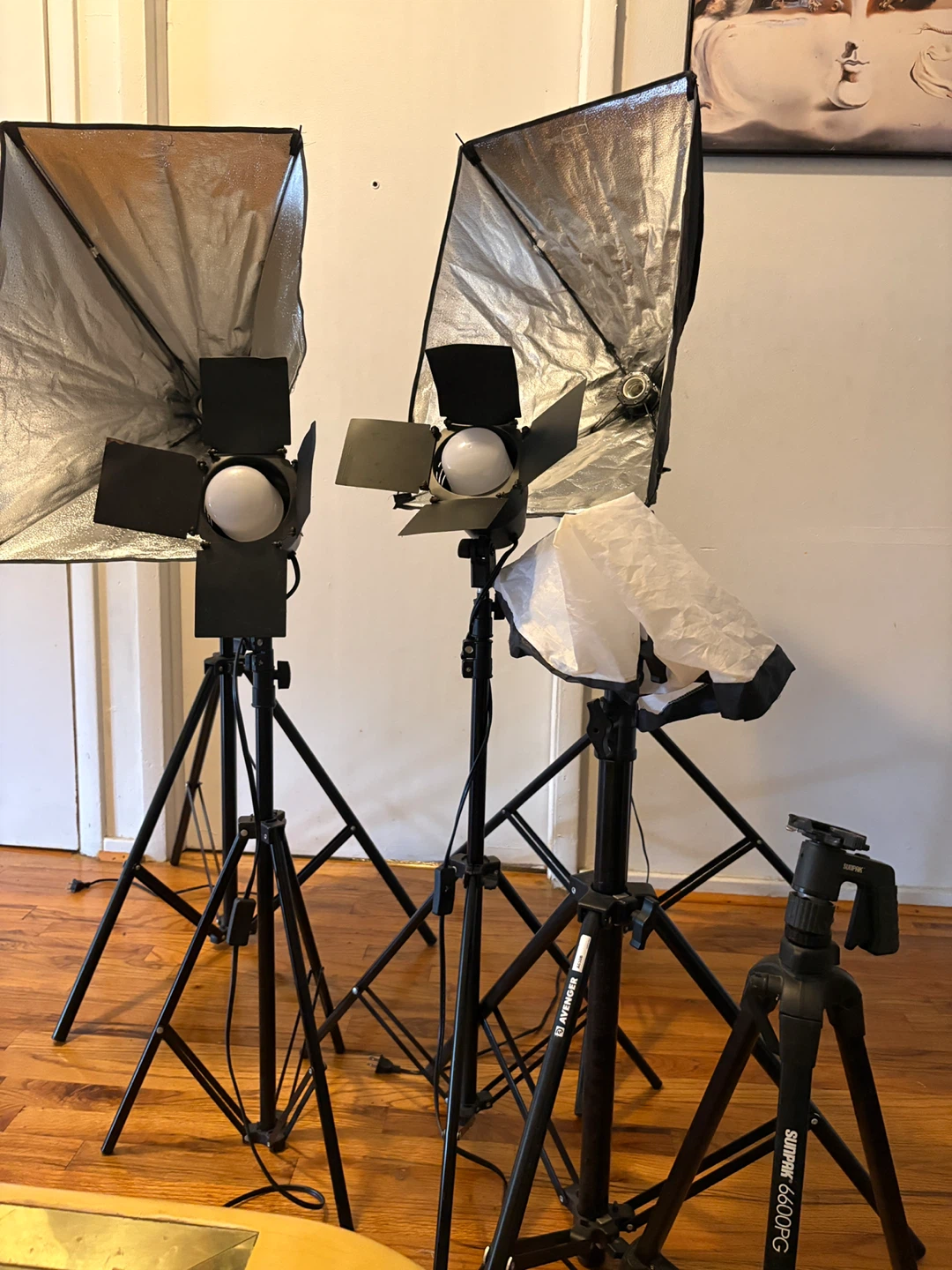 Light Stands and Softbox Lights