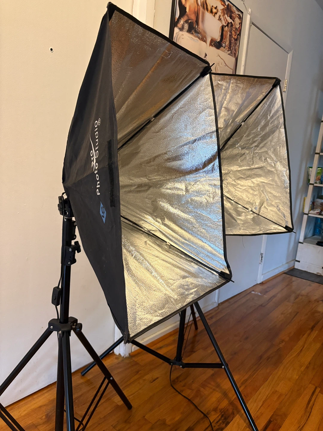 Light Stands and Softbox Lights - photo 5