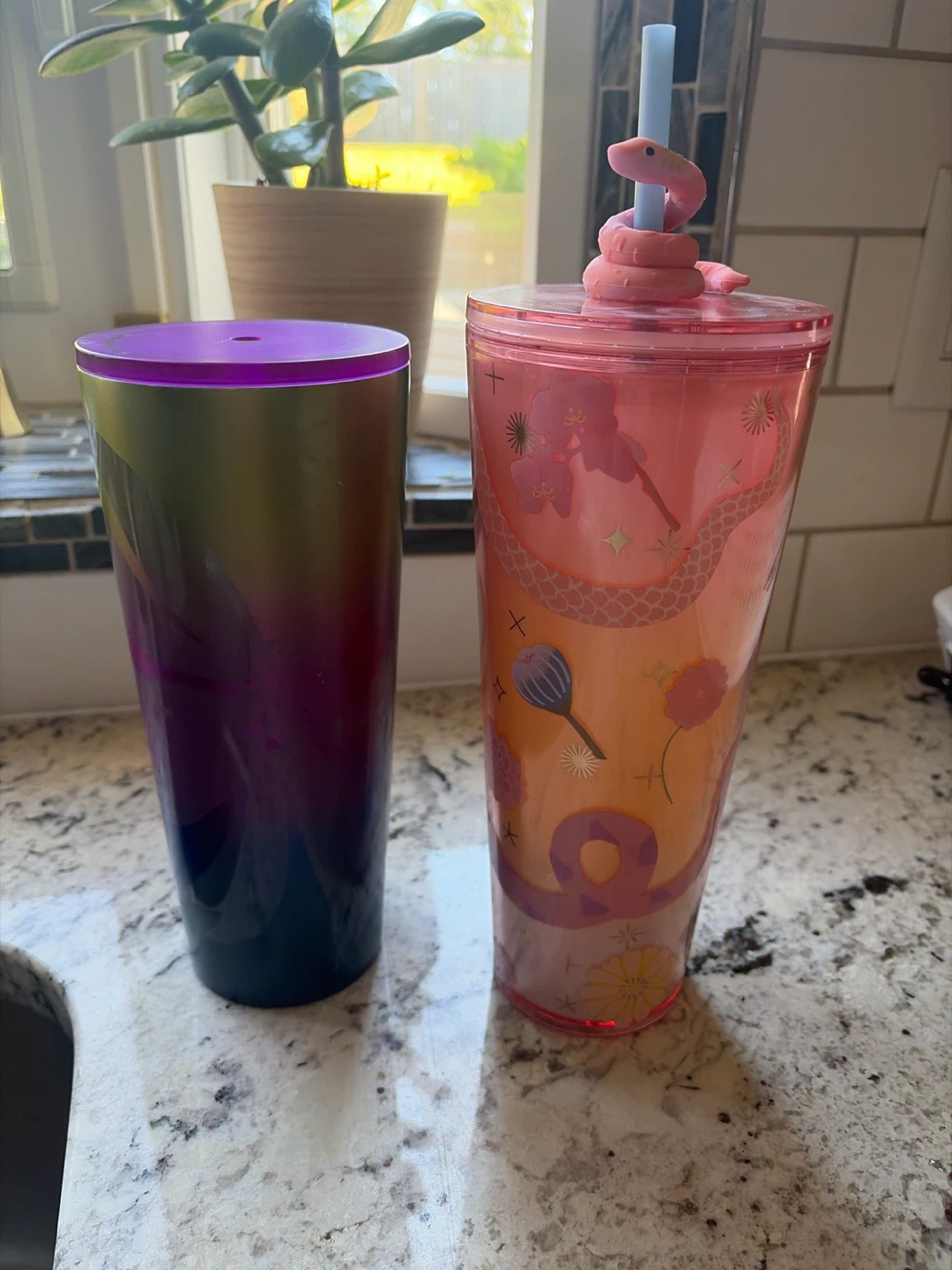 Starbucks Tumbler Set