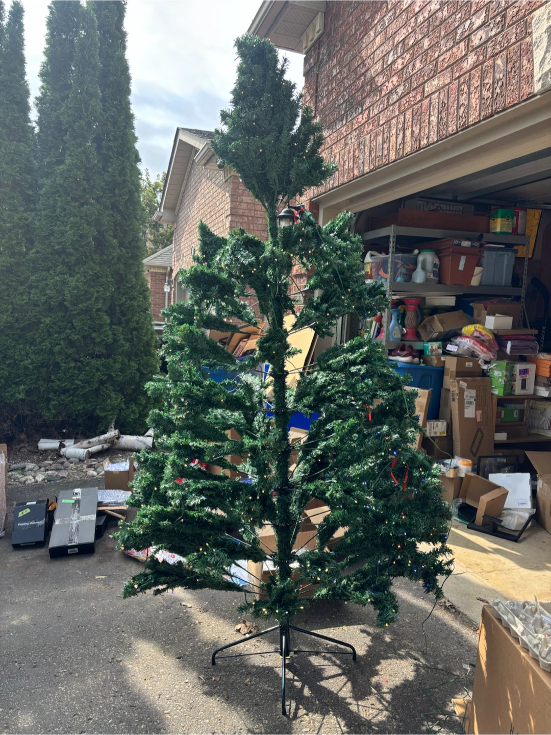 Green Christmas Tree