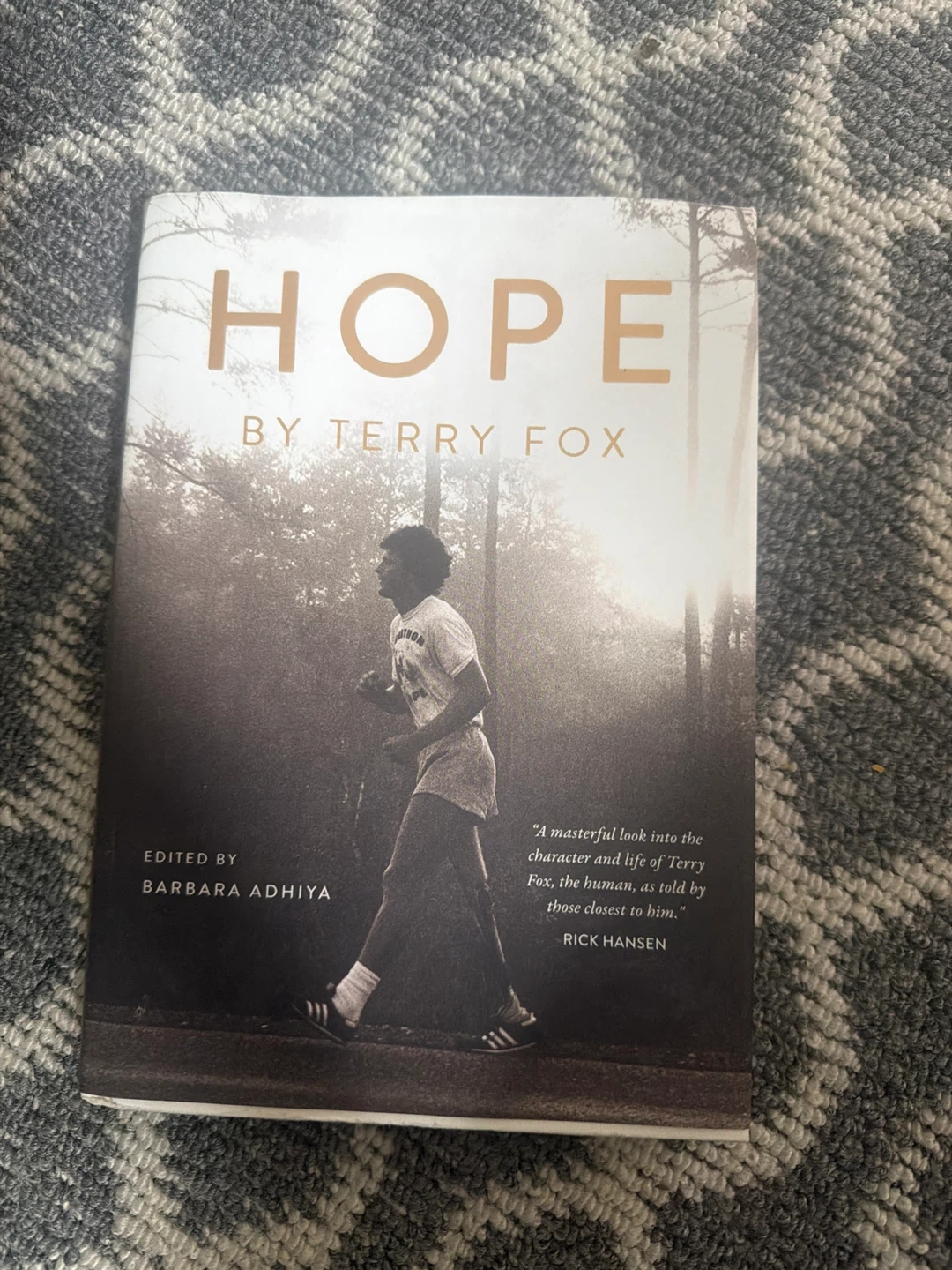 Hope by Terry Fox