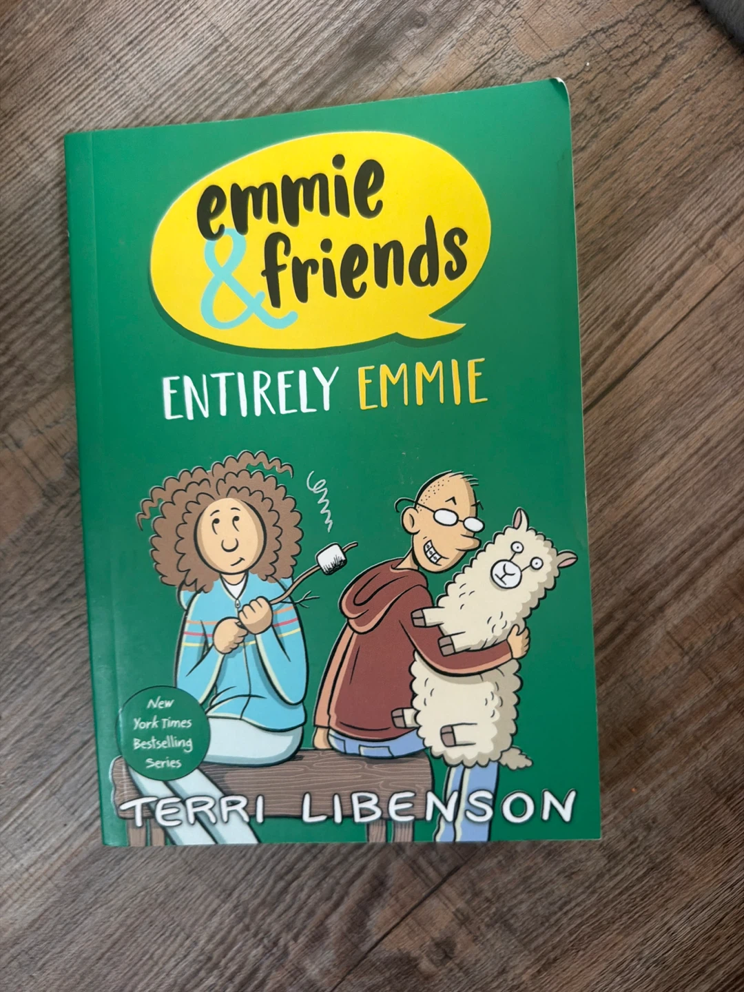 Entirely Emmie by Terri Libenson