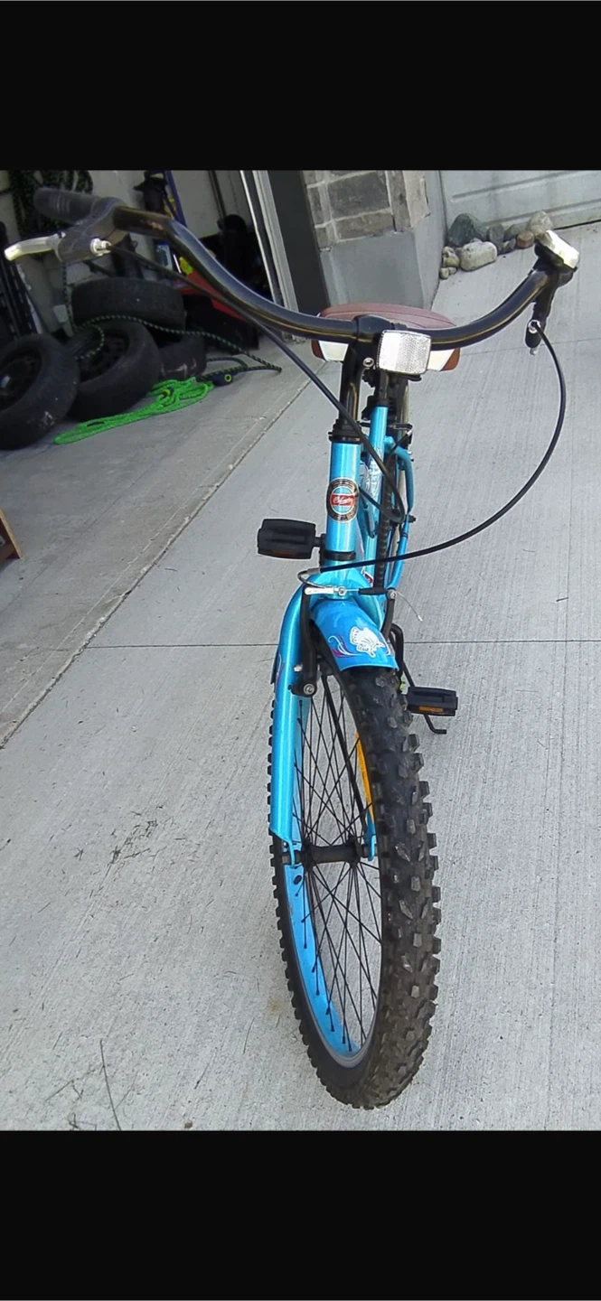 Columbia Sterling 21 Cruiser Bicycle - photo 4