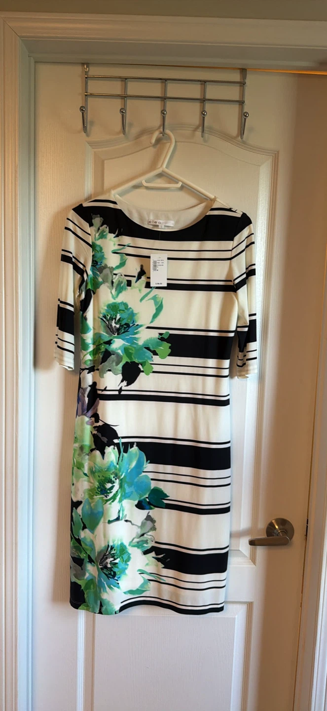 New Cleo Striped Floral Print Dress - size 4