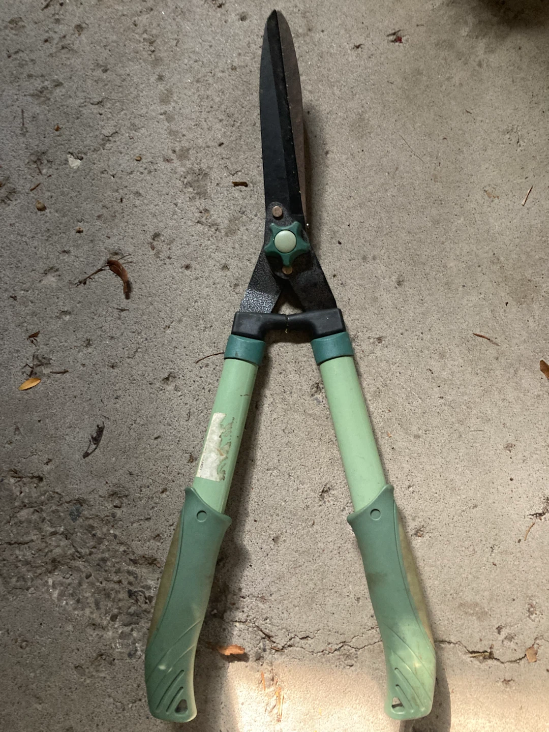 Hedge Shears