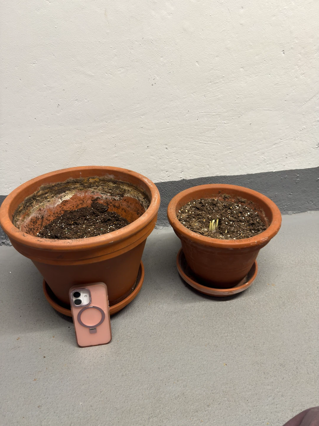 Two Terra Cotta Plant Pots - photo 2