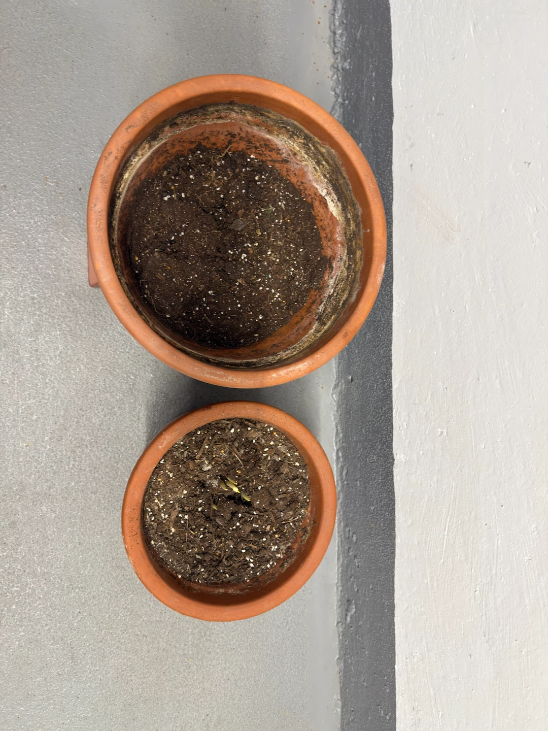 Two Terra Cotta Plant Pots - photo 3