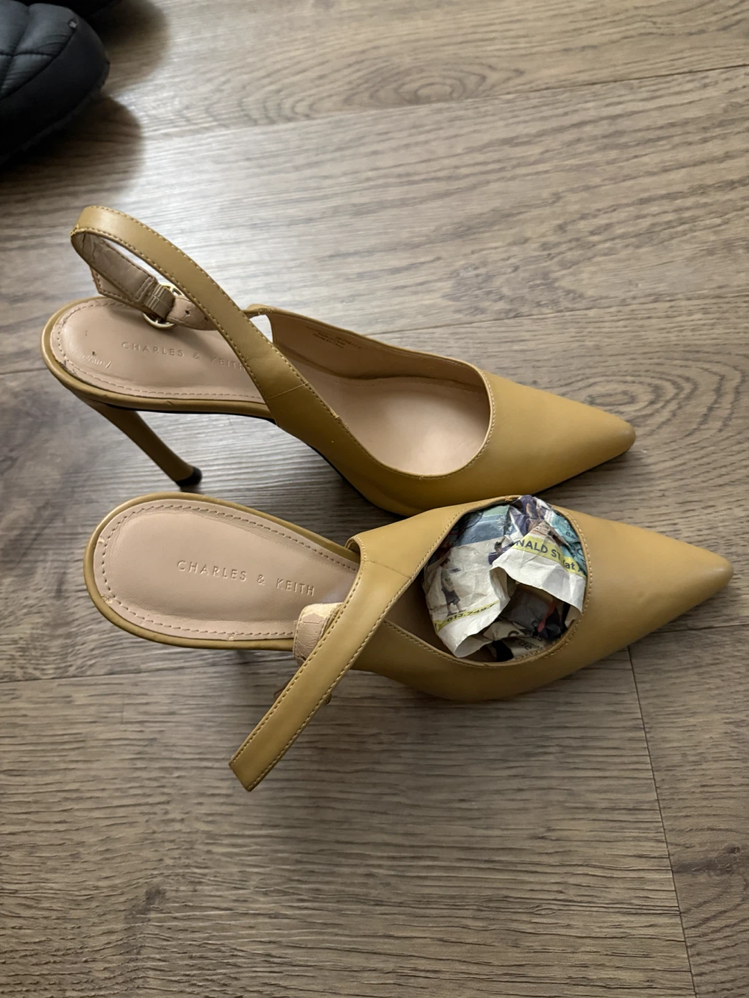 Charles & Keith Pointed-Toe Slingback Heels