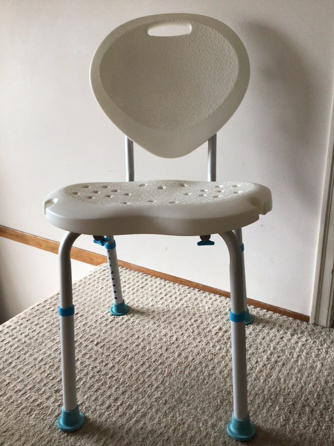 Adjustable Shower Chair with Backrest