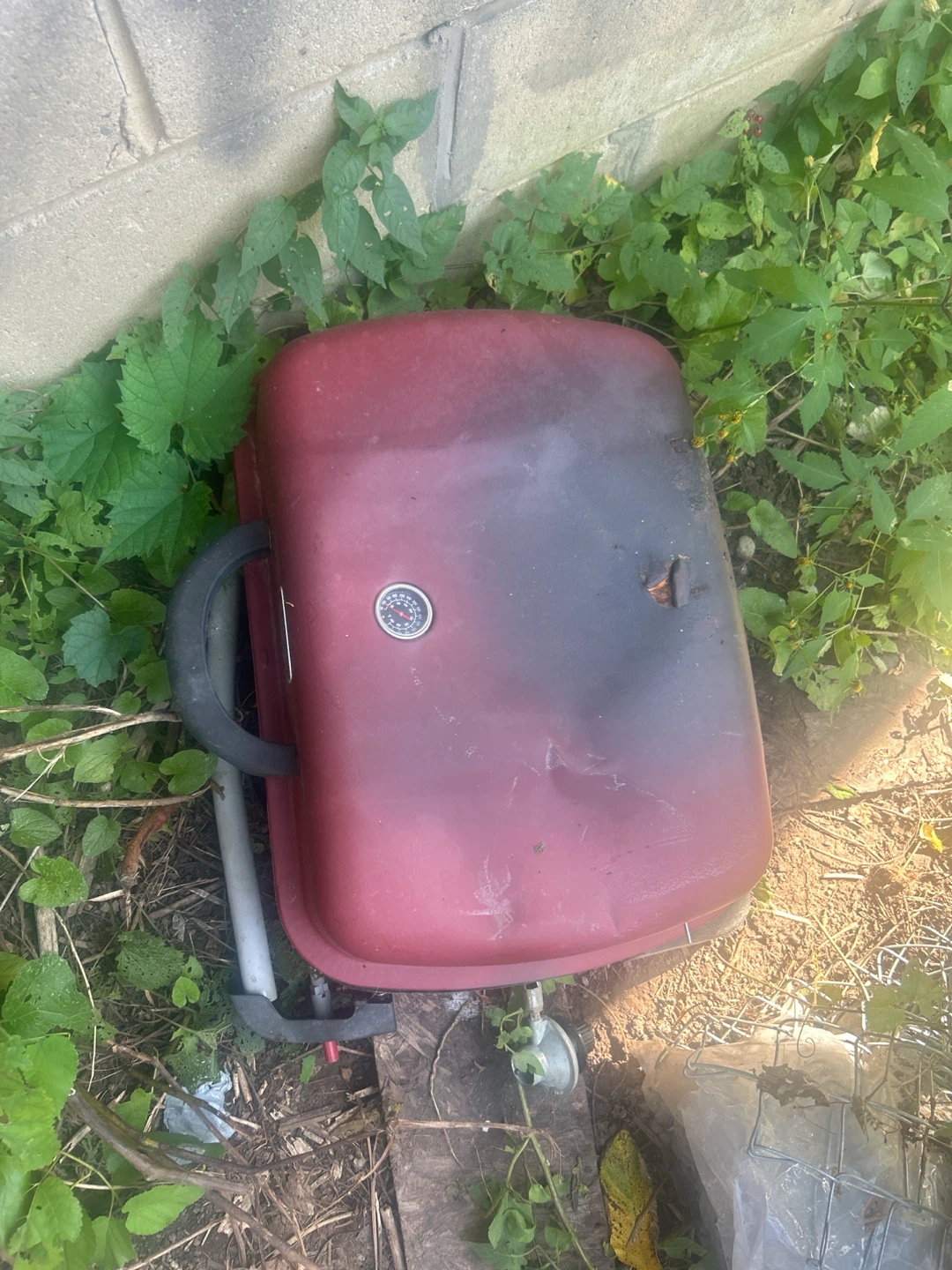 Red Tabletop Gas Grill