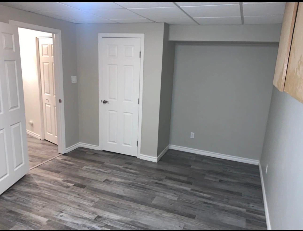 NEWLY RENOVATED 2-BEDROOM BASEMENT SUITE - photo 4