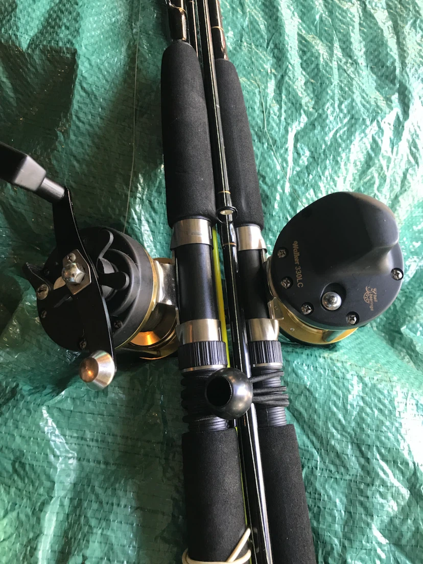 2 deep sea fishing poles