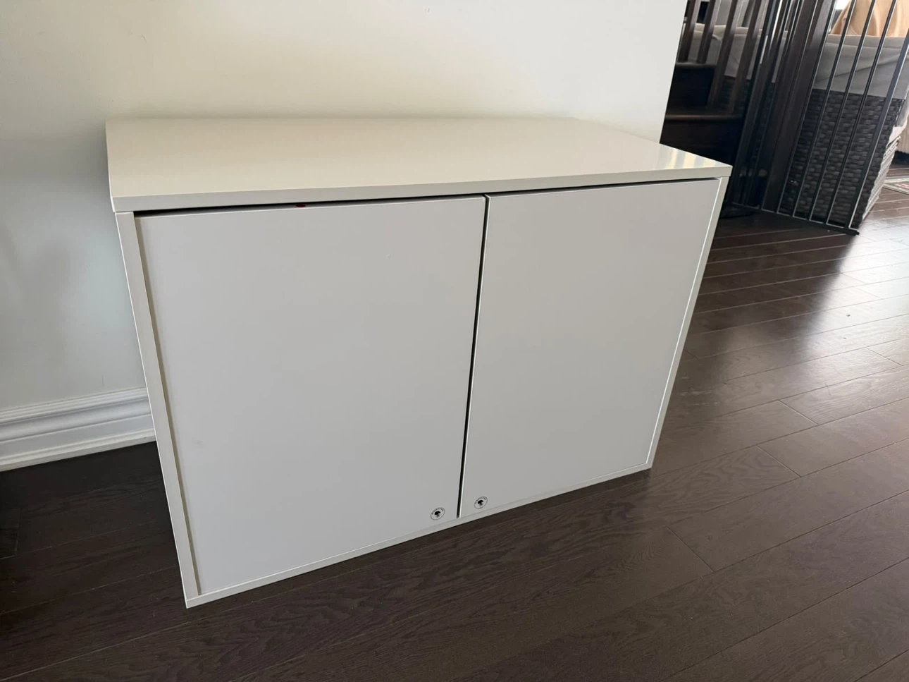 White Storage Cabinet with Two Doors