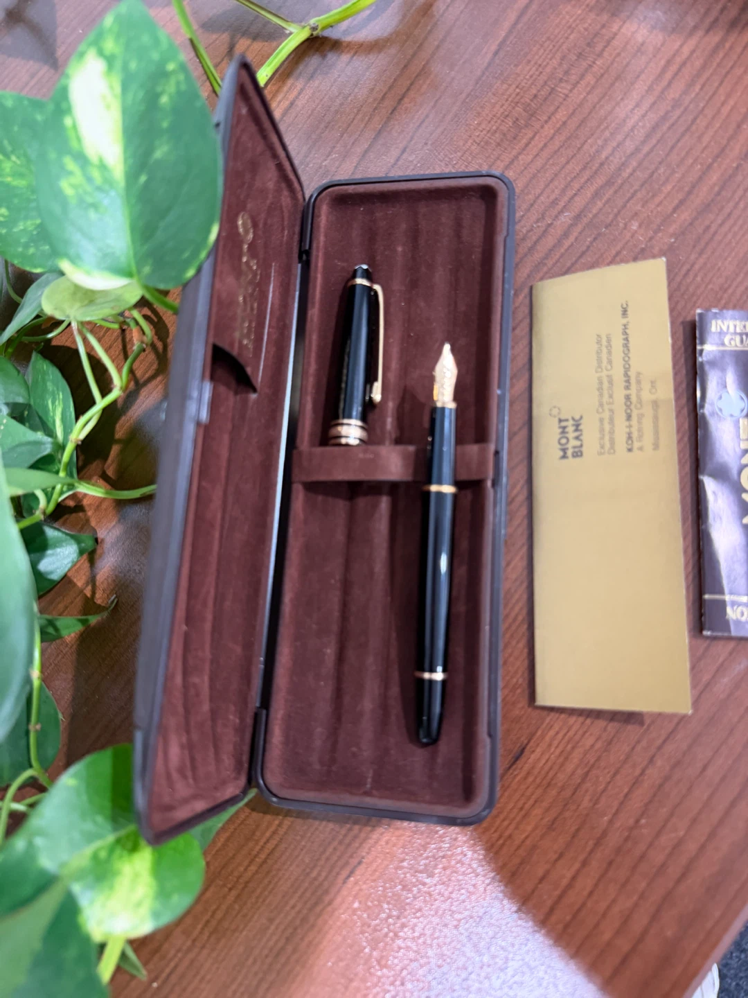 Montblanc Fountain Pen with Original Case