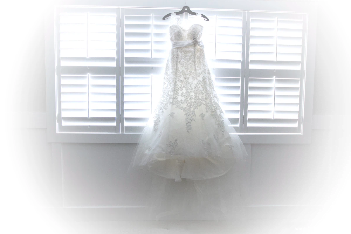 Alfred Sung Bridal  Lace Wedding Dress 9174 - photo 2