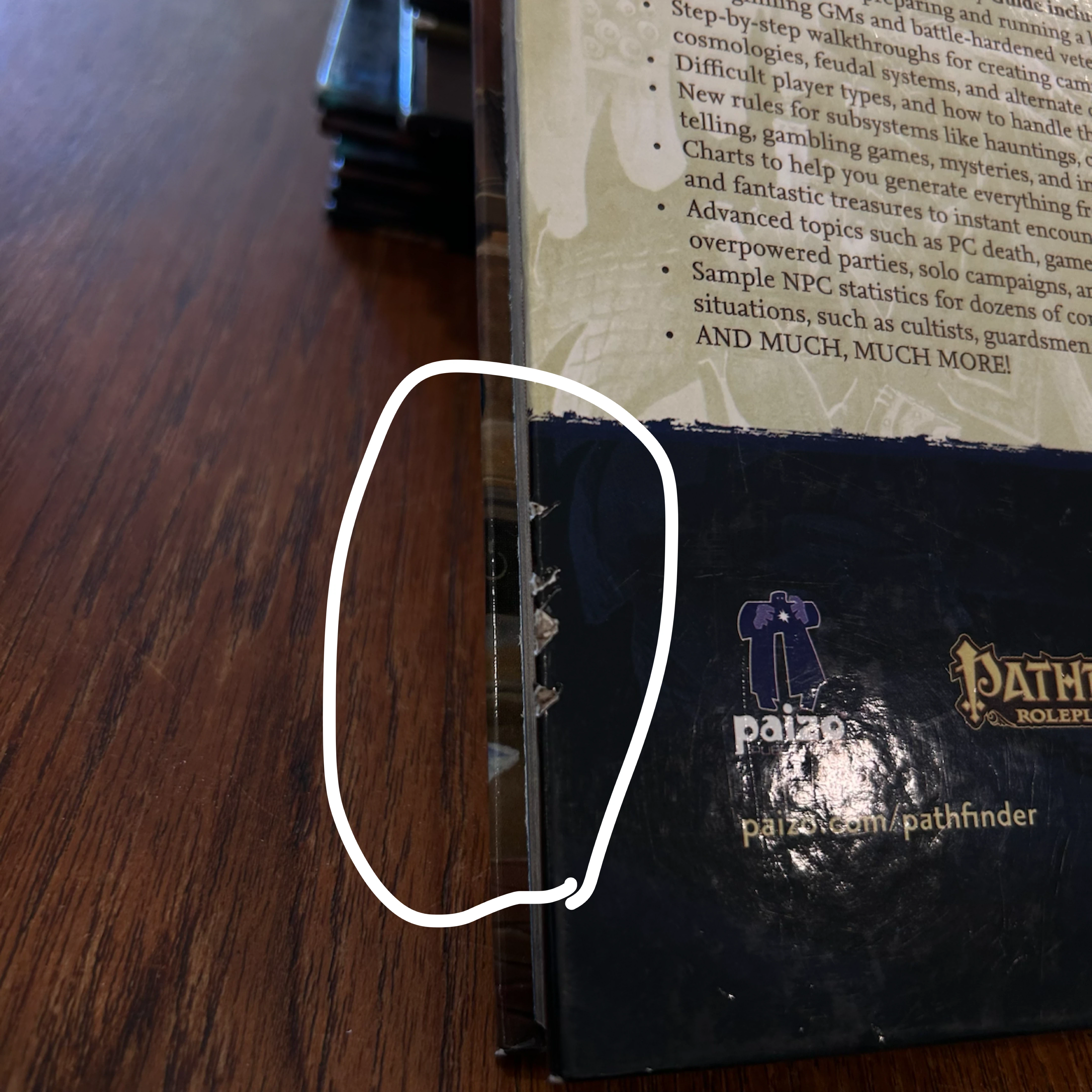 Pathfinder 1E: Game Mastery Guide - photo 4