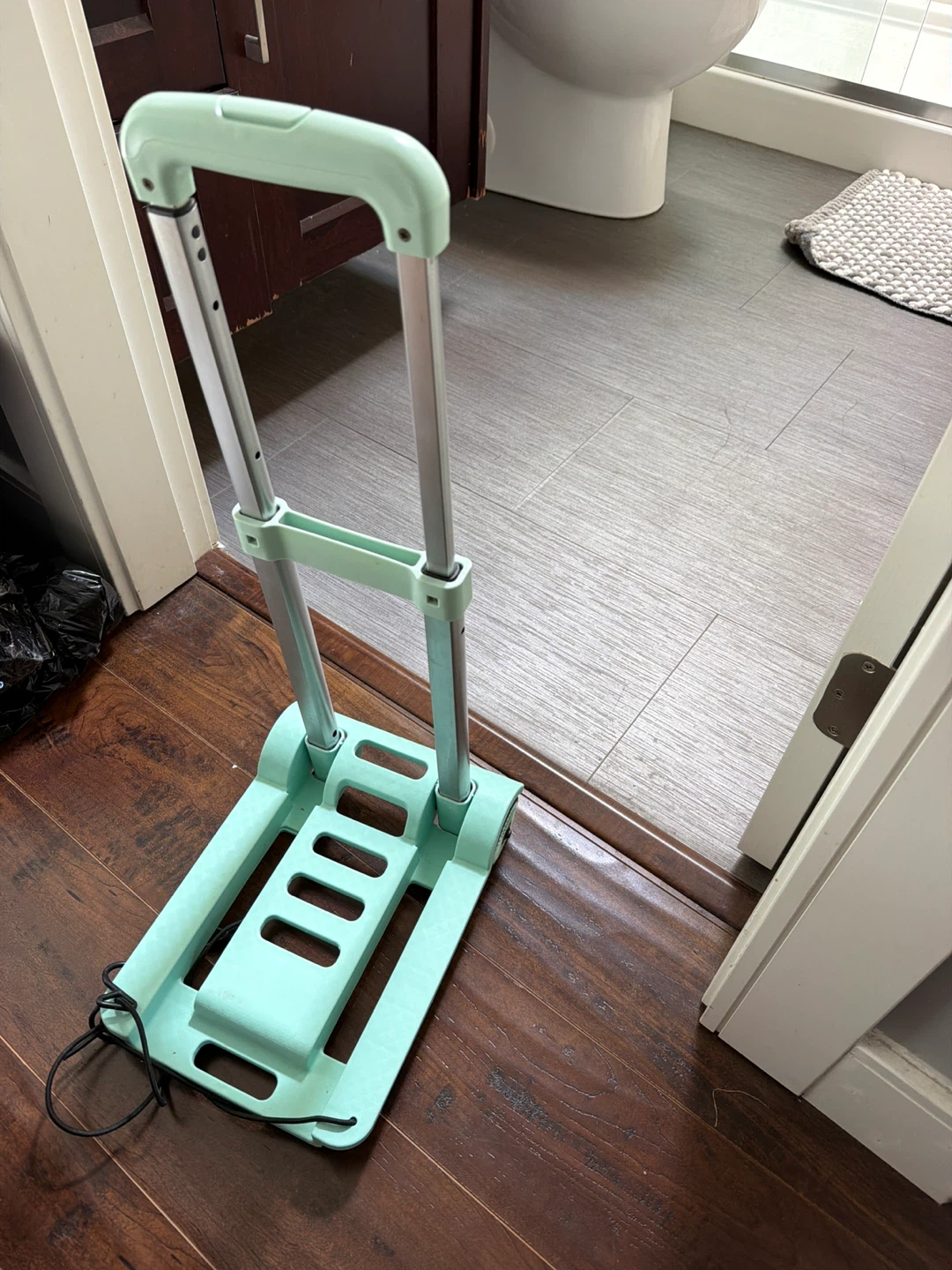 Collapsible Light Mint Luggage Cart