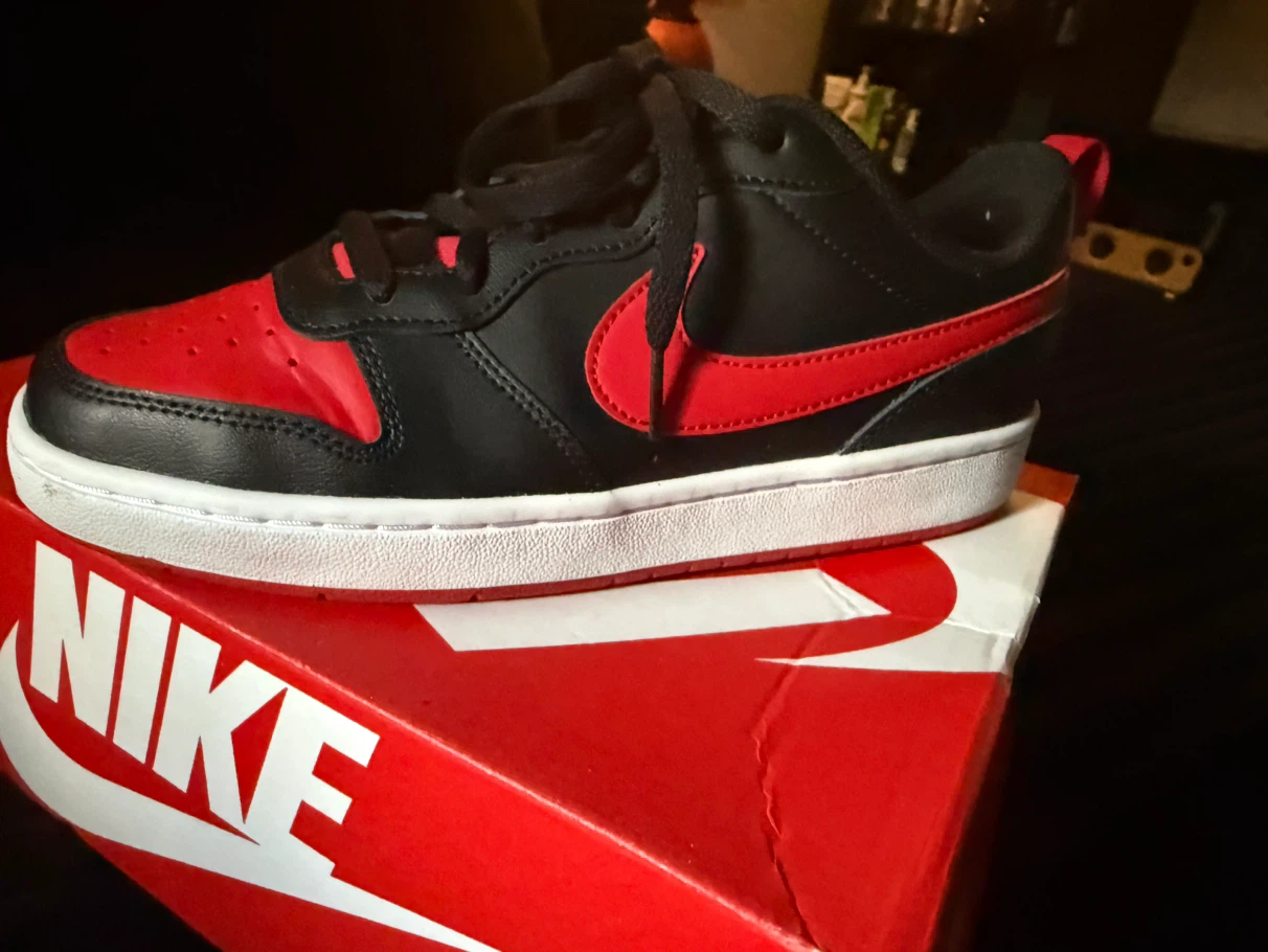 Nike Court Borough Low 2 Shoes