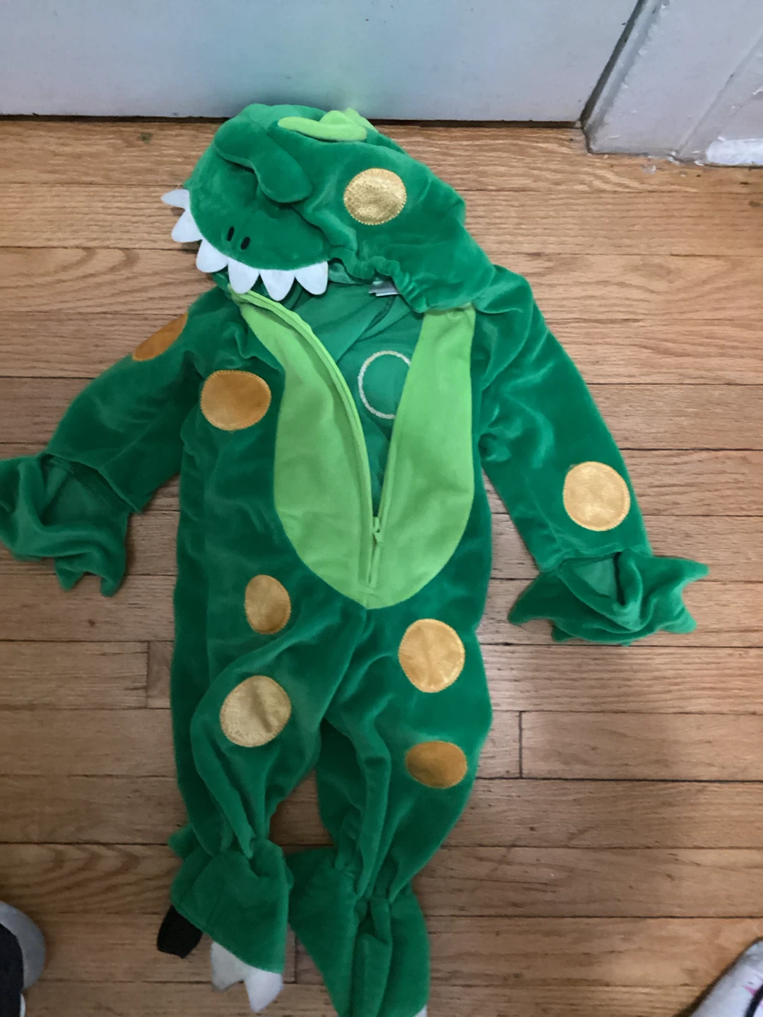 Green Dinosaur Costume 12M