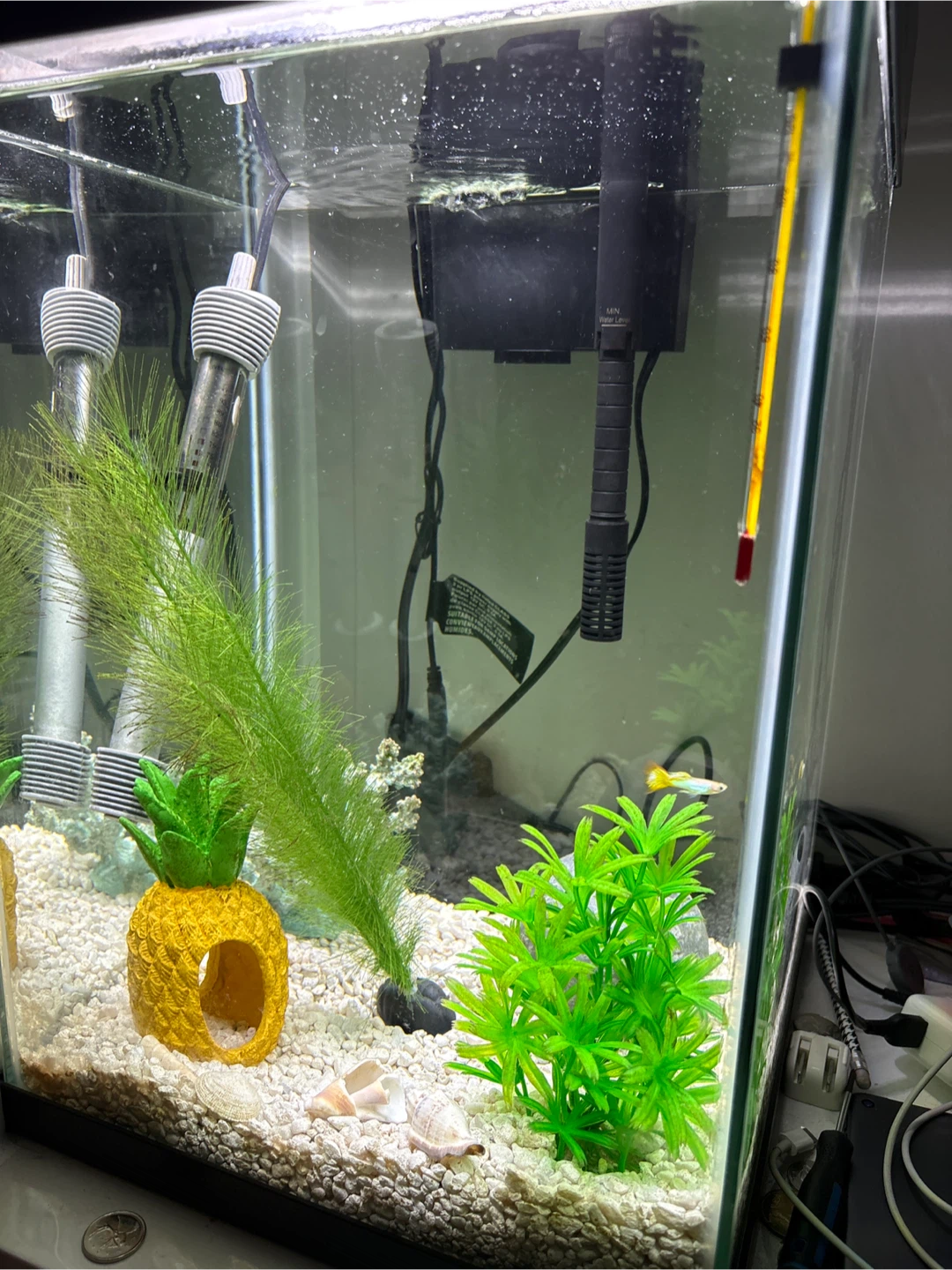 Aquarium starter kit with tank, supplies, and test kits