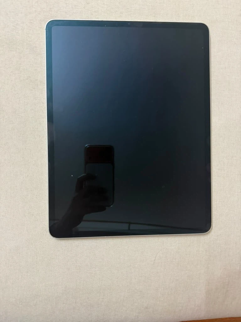Apple ipad, cover case and pencil.