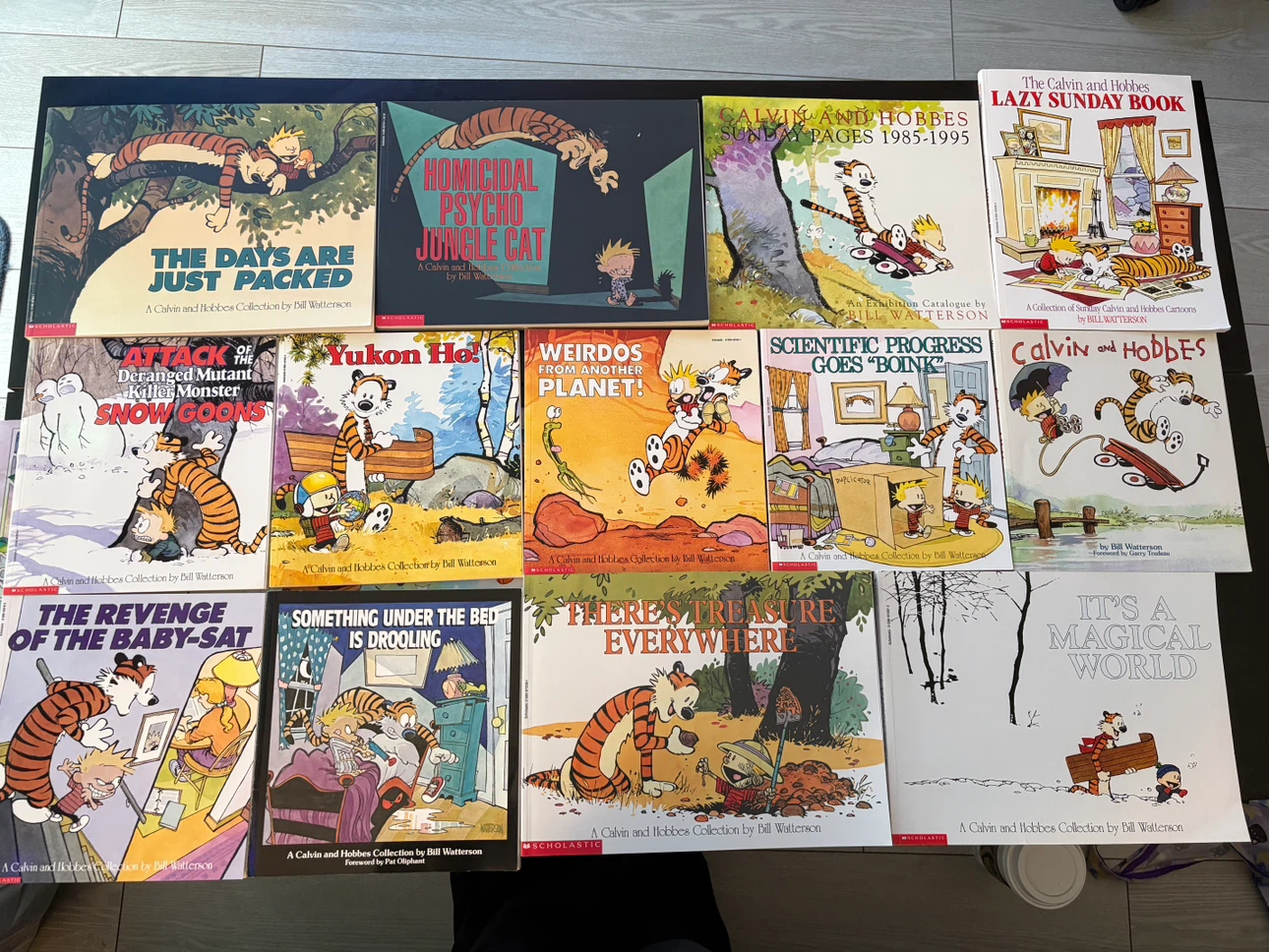 Calvin and Hobbes Collection