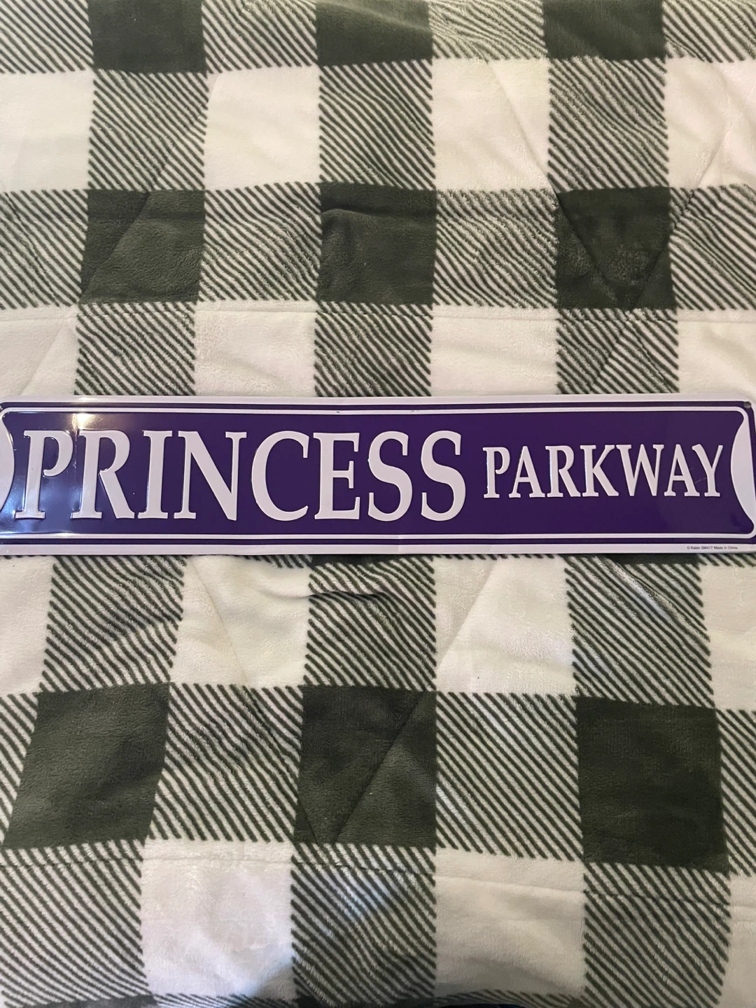 Princess Parkway Metal Street Sign