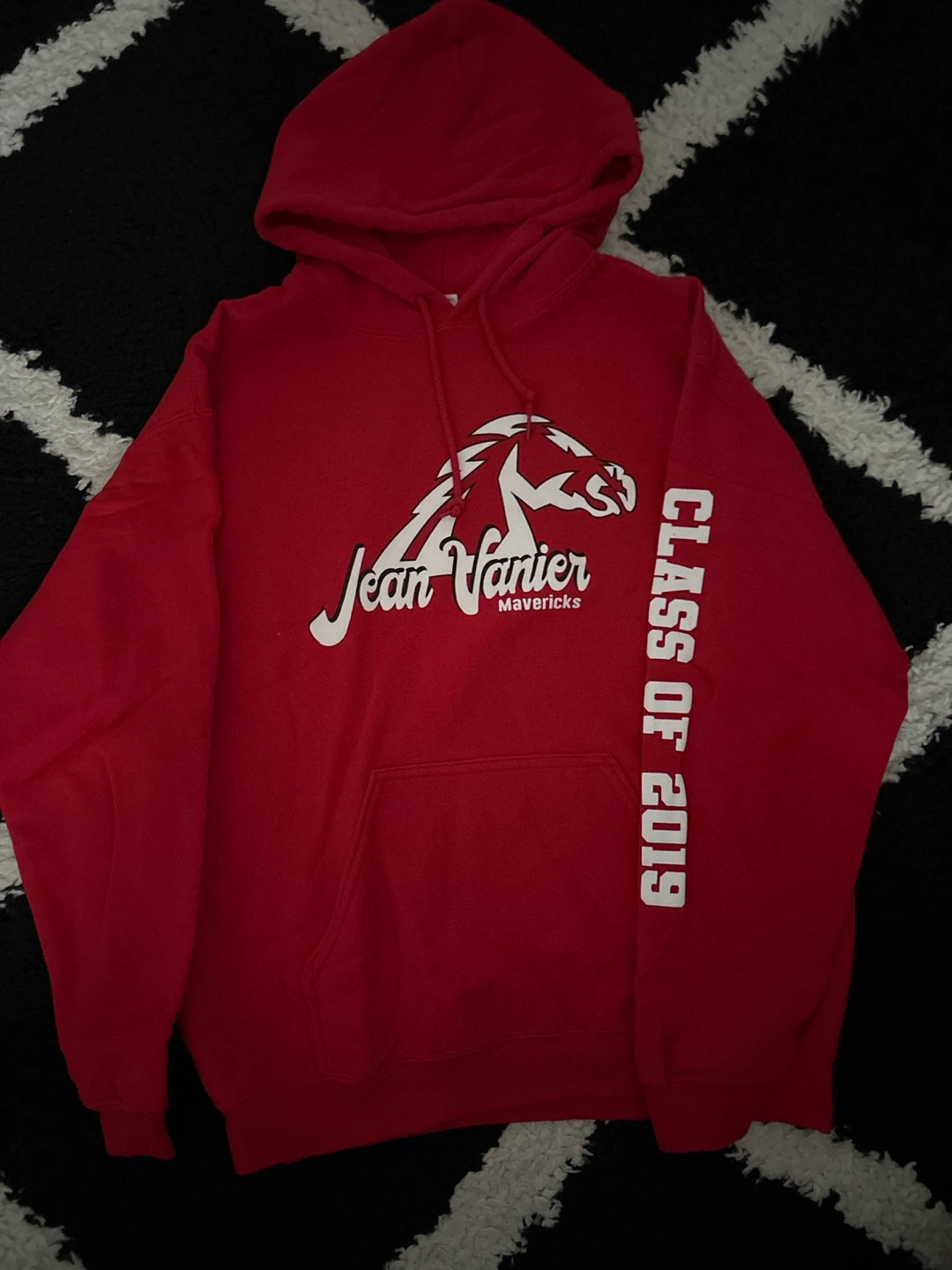 Jean Vanier Mavericks Class of 2019 Hoodie