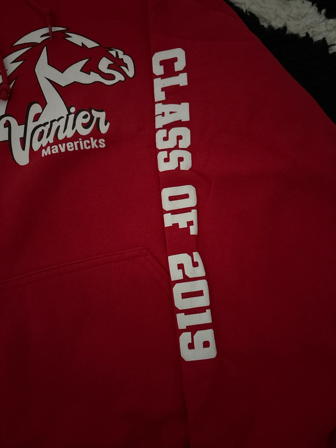 Jean Vanier Mavericks Class of 2019 Hoodie - photo 2